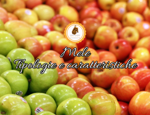 Mele: Tipologie e caratteristiche