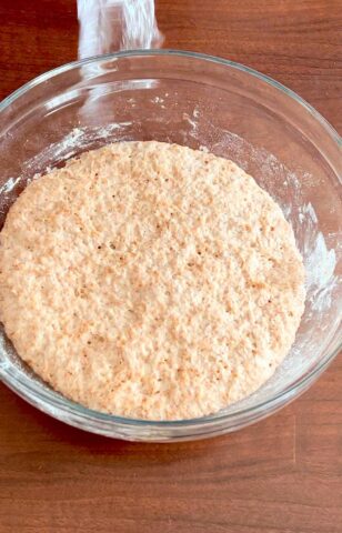 impasto per pizza integrale